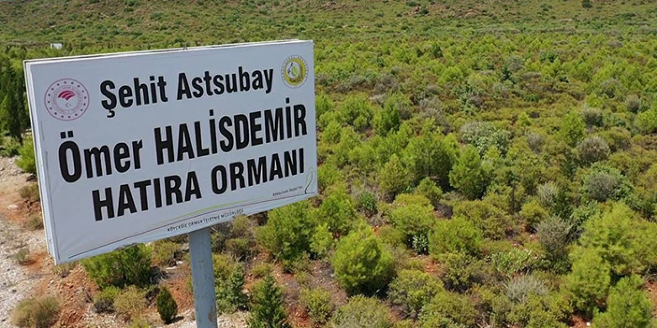 Kahramanlar anılıyor: Hatıra ormanlarına isimleri verildi