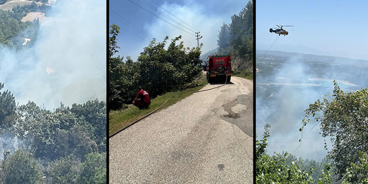 Osmaniye’de orman alevlere teslim