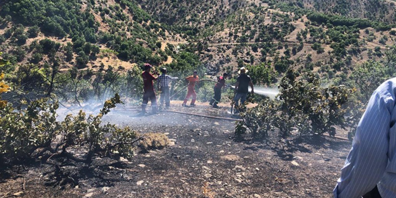 Bingöl'de korkutan yangın