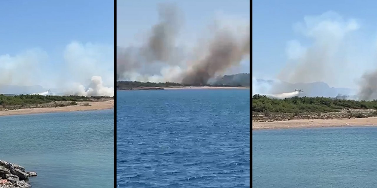 Antalya’da korkutan orman yangını