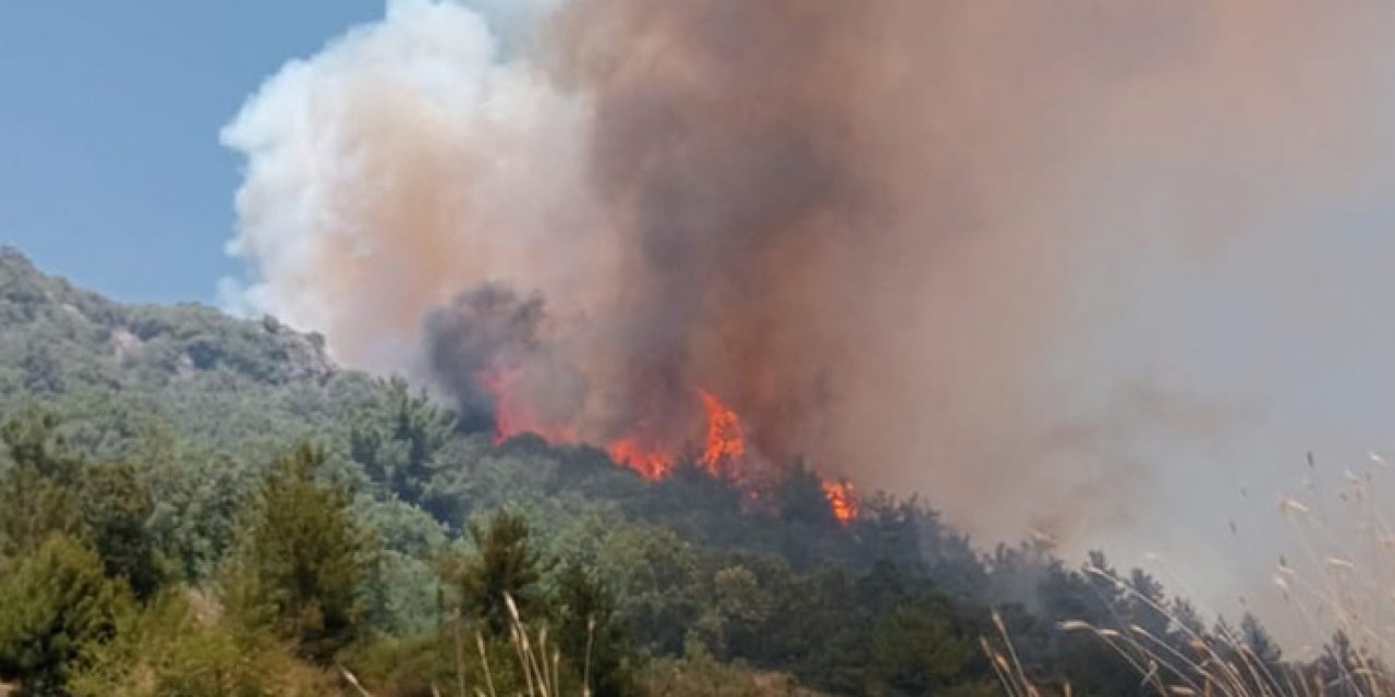 Çıkan yangında 400 dönüm orman yandı