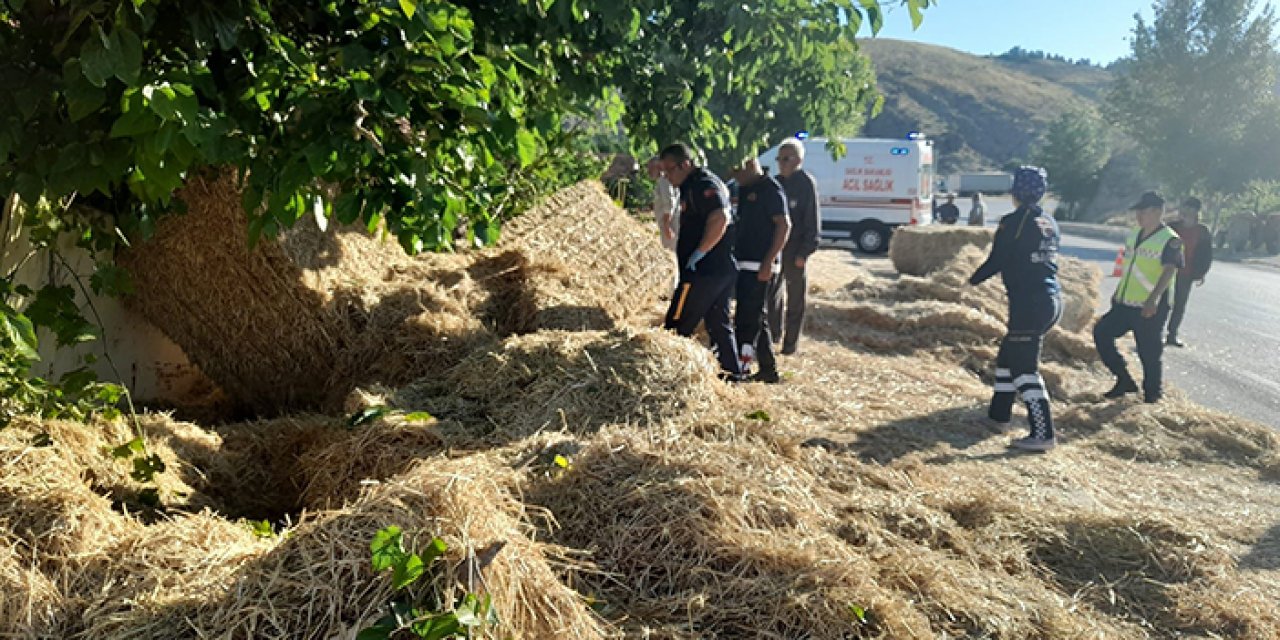 400 kiloluk balyanın altında kalıp yaşamını yitirdi