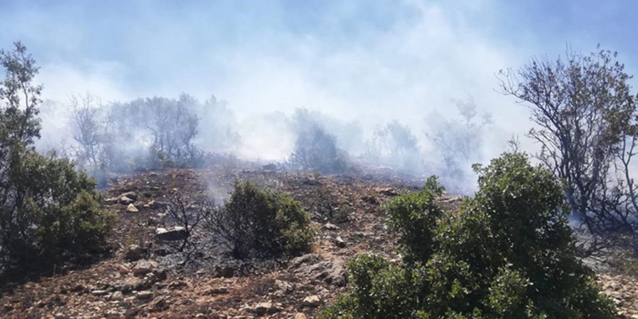 Kilis'te makilik yangını kontrol altına alındı