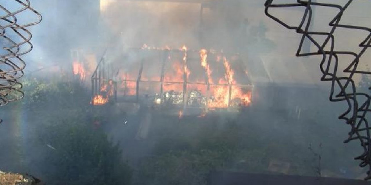 İstanbul'daki çiçek serasında yangın çıktı