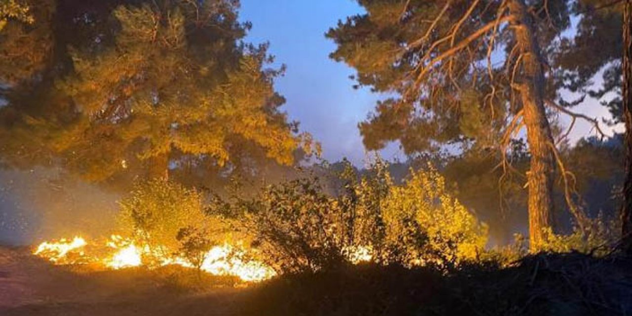 Çanakkale’de orman yangını: Köylüler çalışmalara destek veriyor