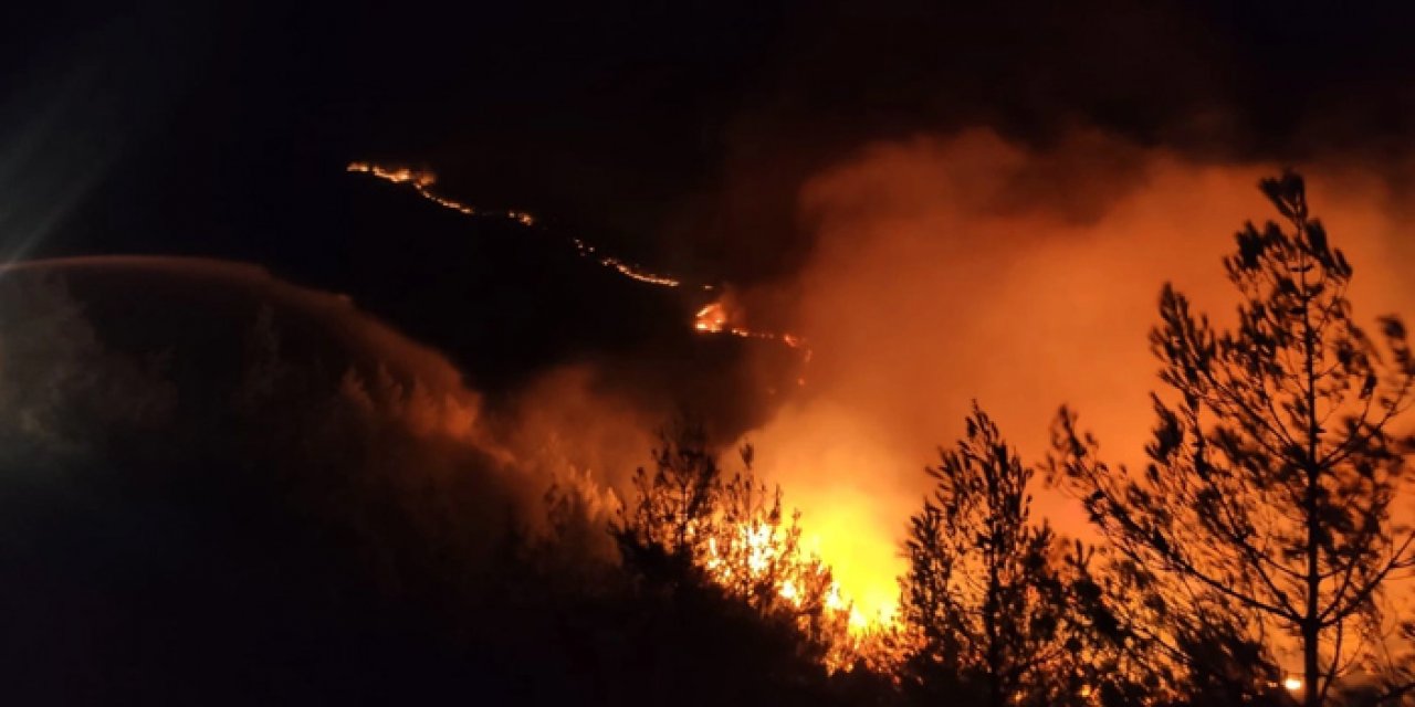 Mersin'de orman yangını