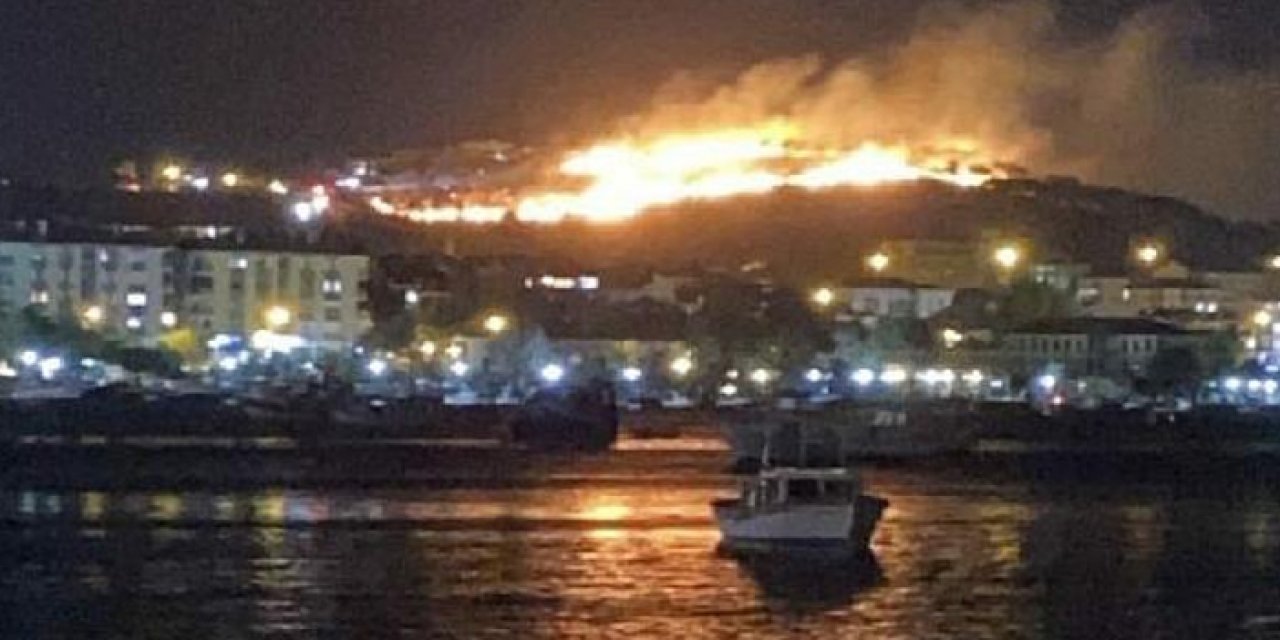 Ayvalık'ta korkutan yangın 1 saatte kontrol altına alındı