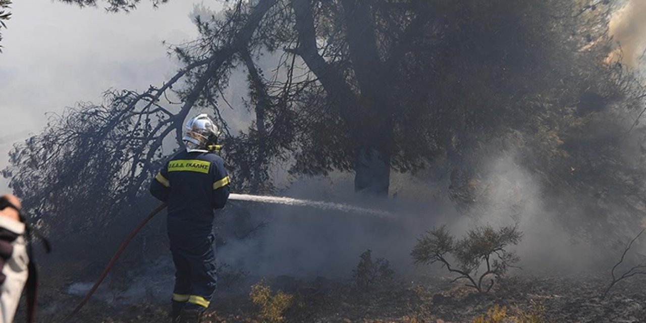 Yunanistan'da bir günde 46 orman yangını