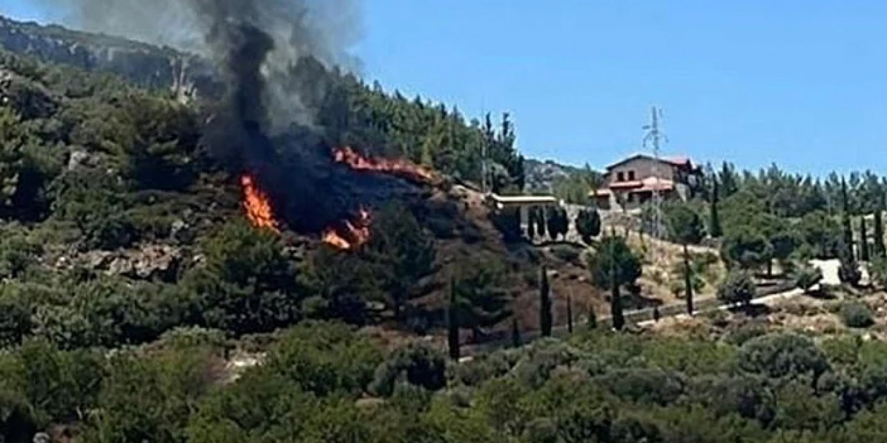 Restoranda çıkan yangın ormana sıçradı