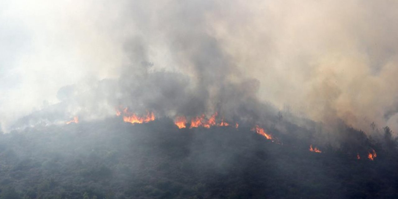 Mersin'de orman yangını kontrol altına alındı