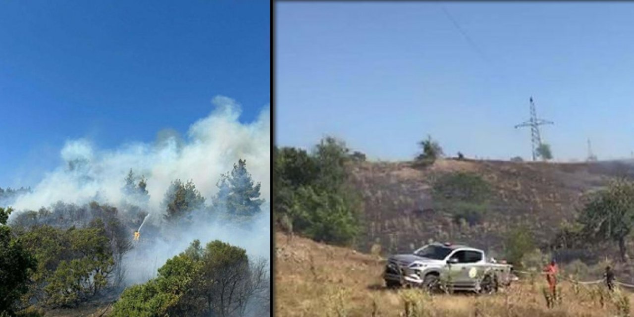 Balıkesir'de yangın: Karadan ve havadan müdahale başladı