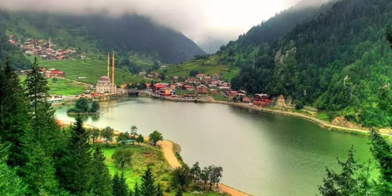 Karadeniz için büyük tehlike! “Yakında hiçbir canlı hayatta kalamayacak”