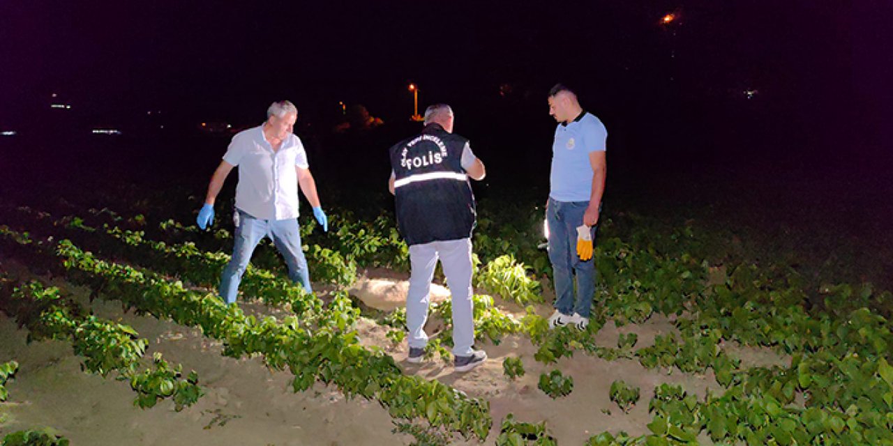 Sokak köpeği tüfekle vurularak öldürüldü