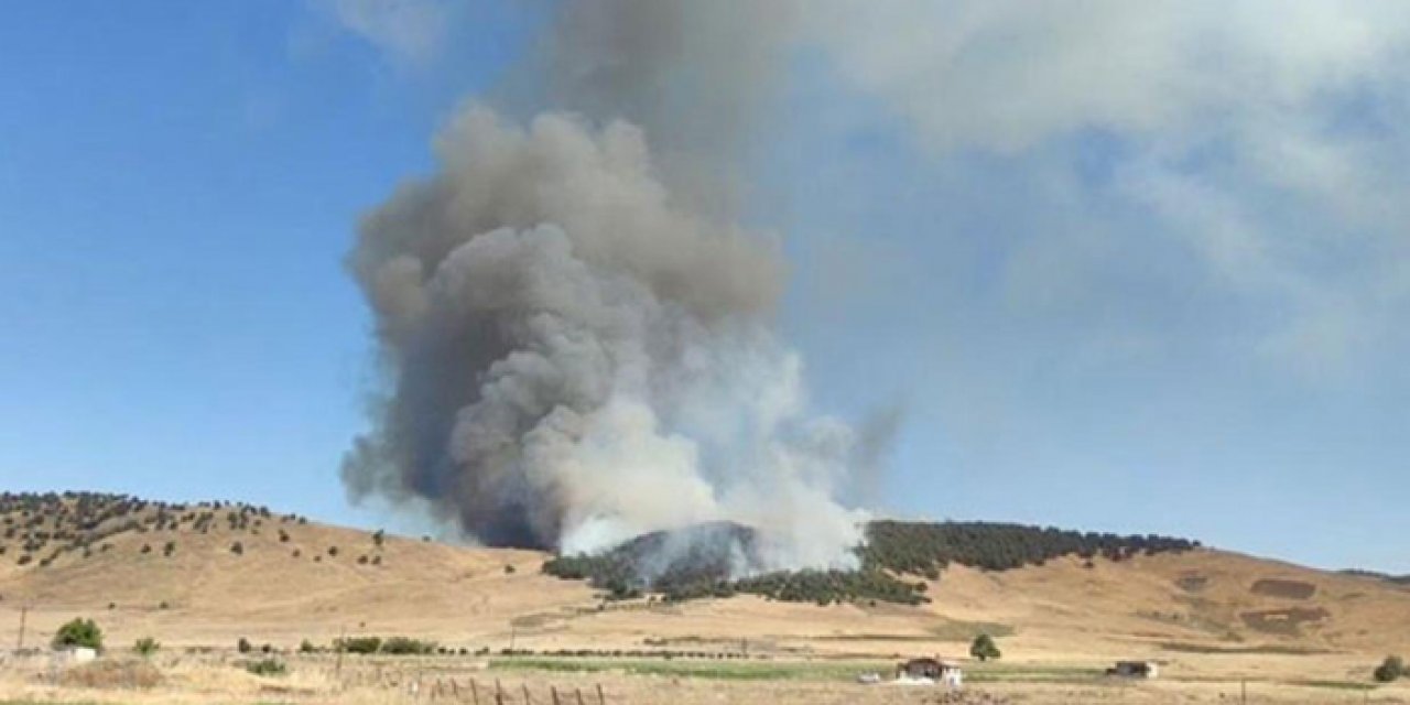 Muğla ve Gaziantep'te orman yangını