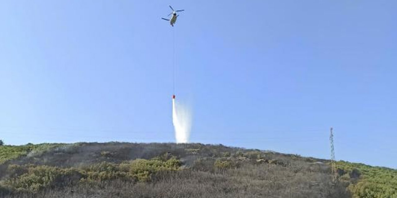 Muğla'da orman yangını 1 saatte kontrol altına alındı