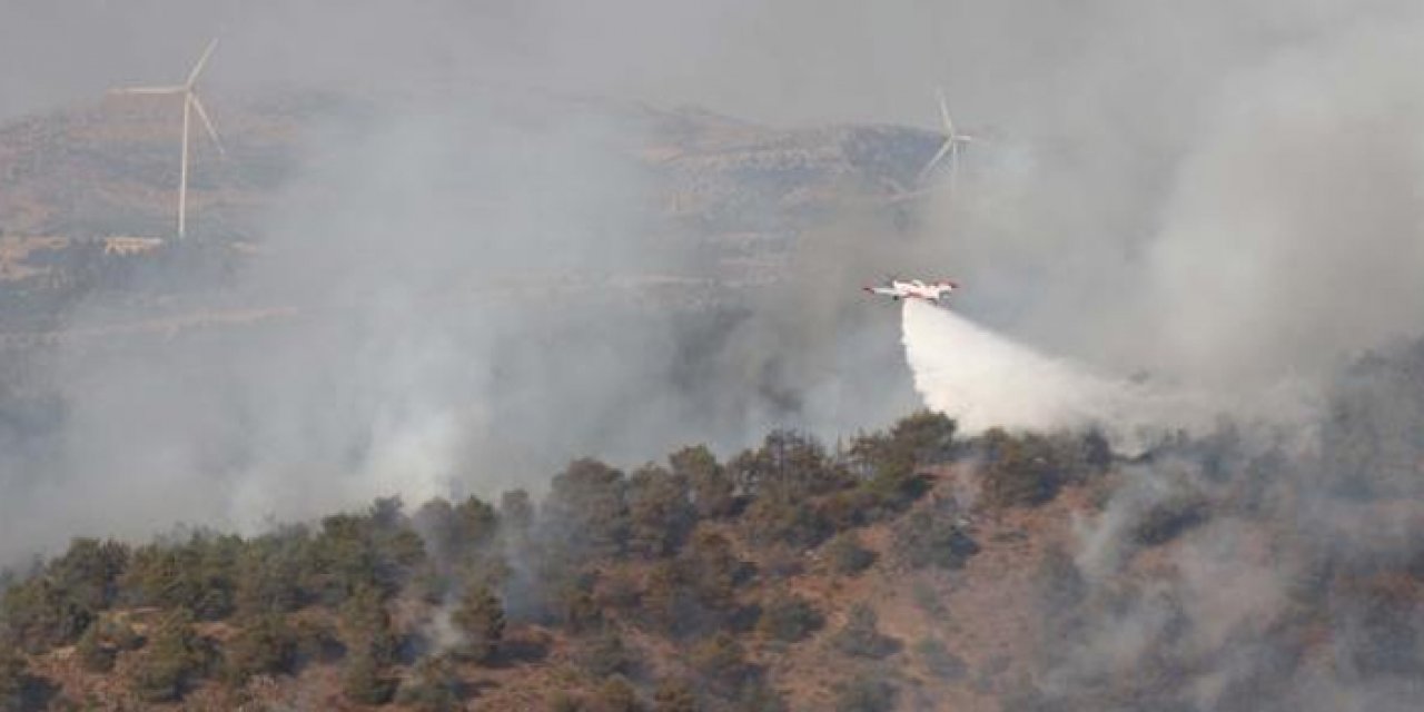 Gaziantep'te orman yangınına müdahale devam ediyor