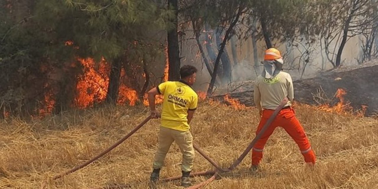Adana'da çıkan orman yangını kontrol altında