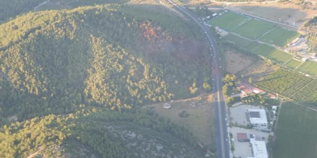 İzmir'de korkutan orman yangını