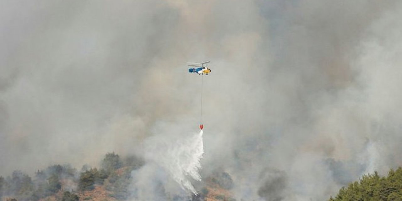 Gaziantep'te orman yangını 8 saat sürdü