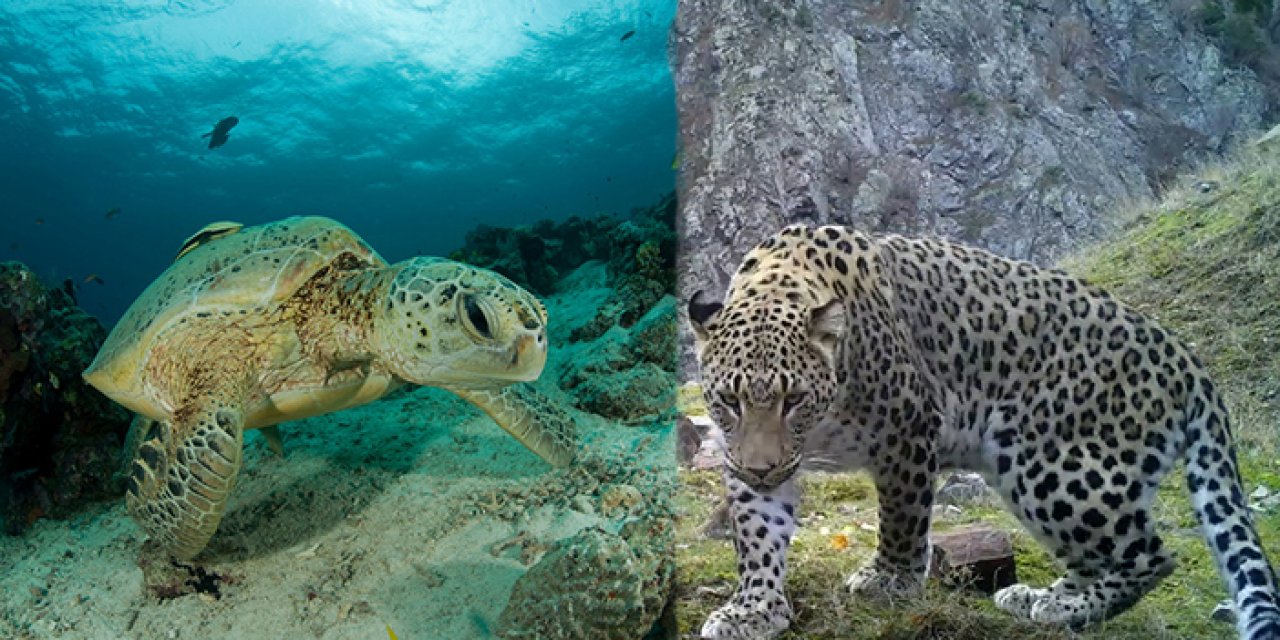 Av yasağında rekor ceza: Hapse kadar yolu var!