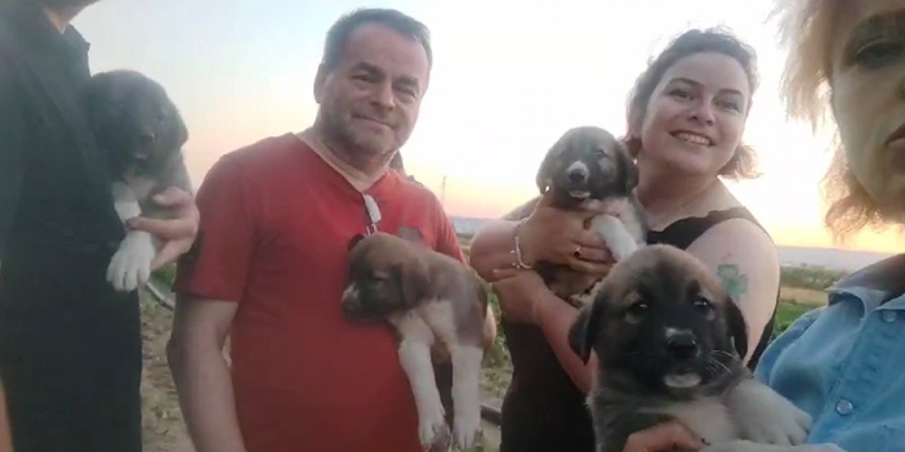 Öldürülen köpeğin 4 yavrusu sahiplendirilecek