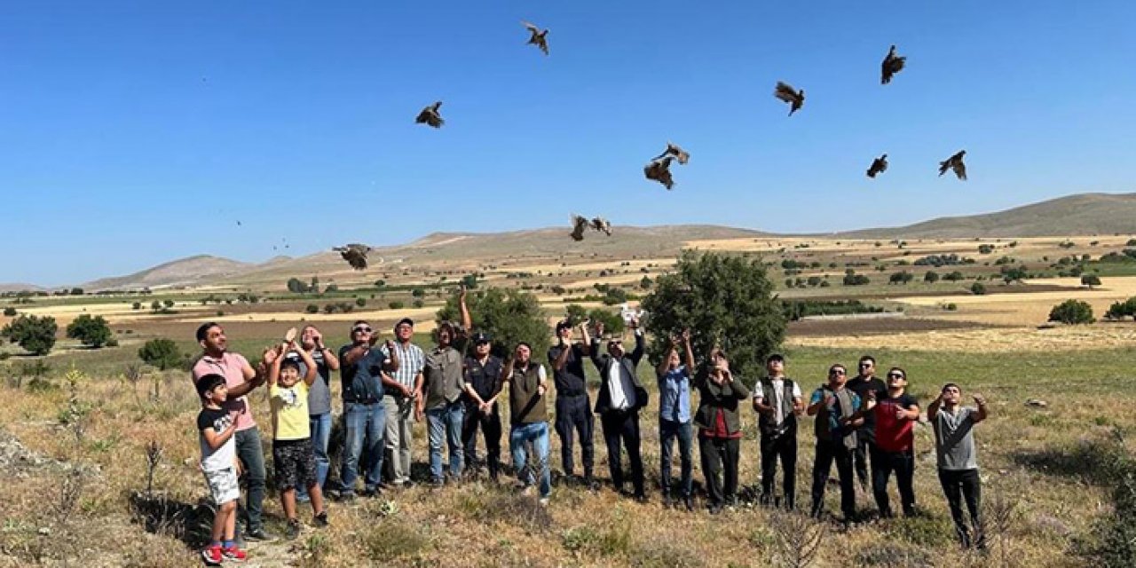 Kınalı keklikler doğaya bırakıldı