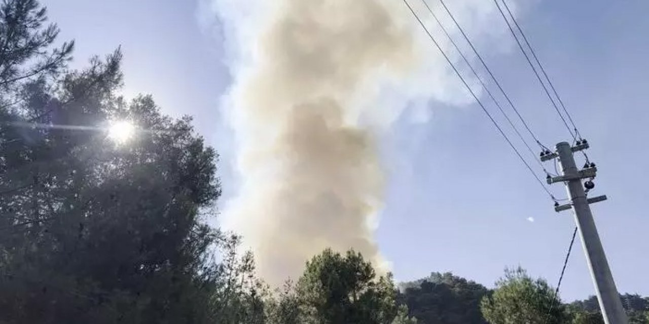 Alanya'da yangın: 1.5 hektar orman kül oldu