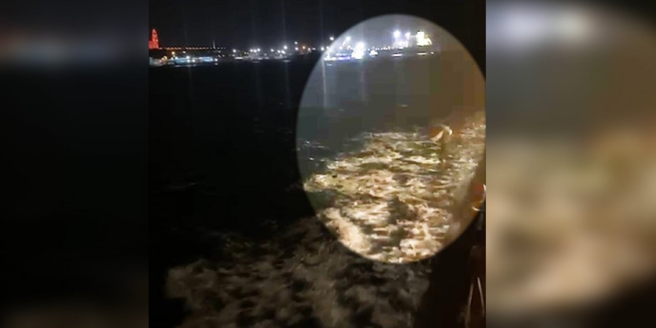 Herkesin gözü önünde intihar etti: Kimse ne olduğunu anlamadı