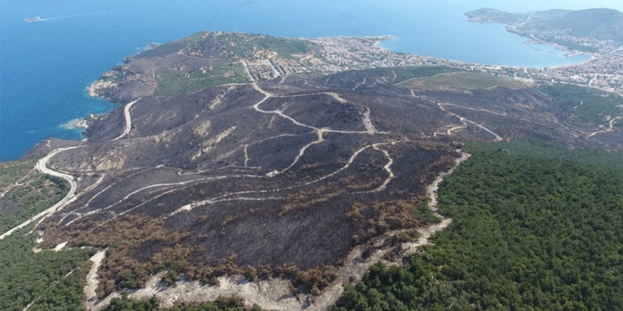 Türkiye'nin ciğerleri yandı: 20 günde 295 orman yangını