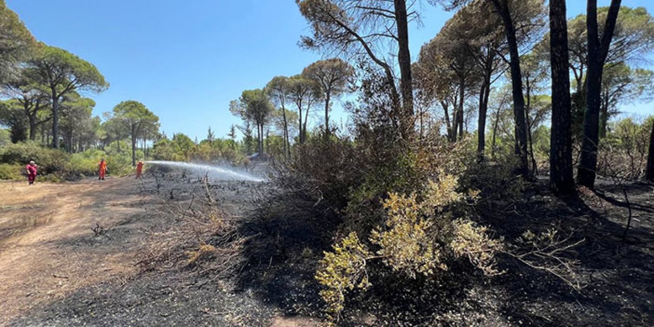 Antalya’da çıkan orman yangını yarım saatte söndürüldü