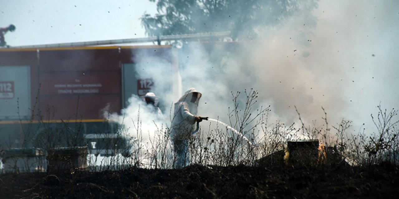 50 saman balyası ve 100 arı kovanı yandı