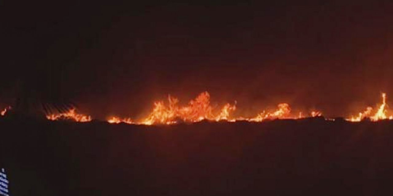 Çeşme'de orman yangını çıktı