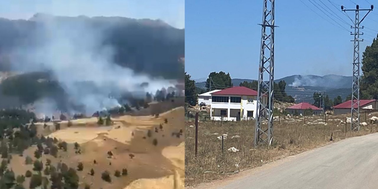 Adana’da orman yangını