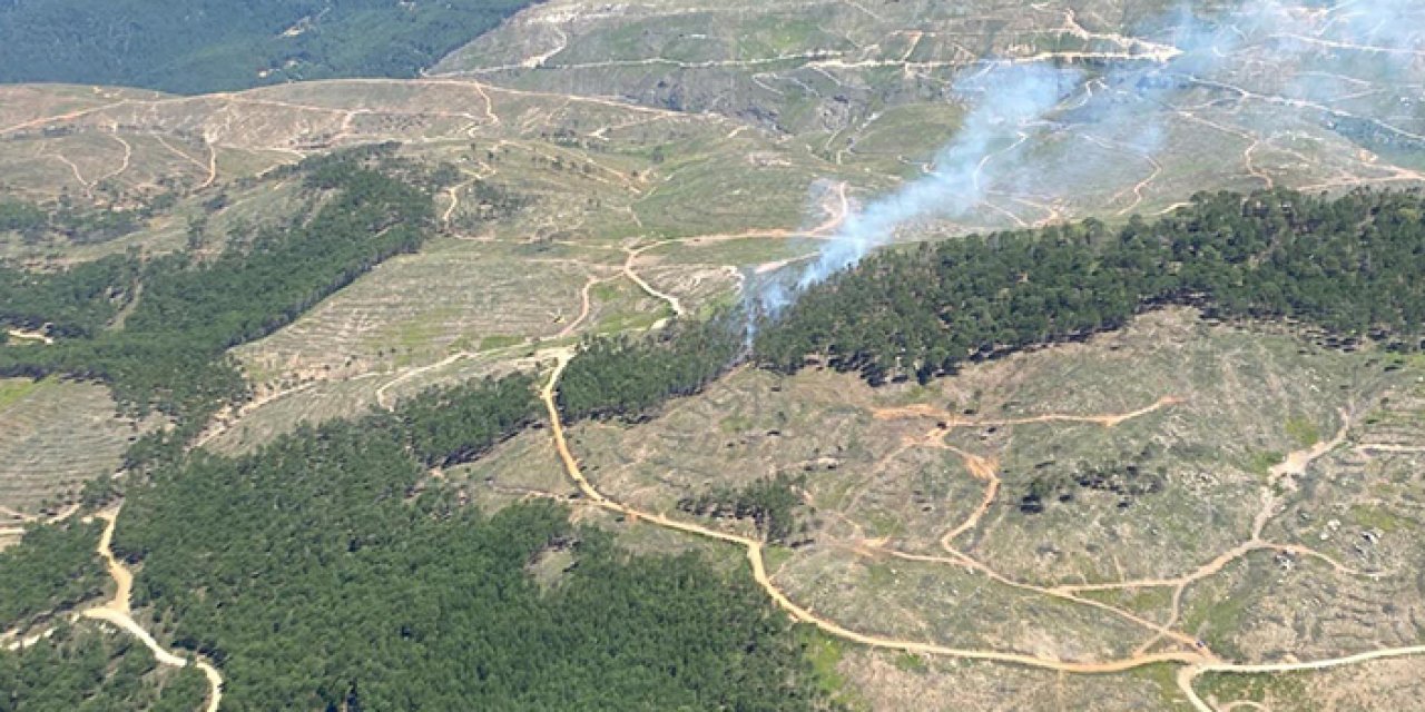 Orman yangınları dur durak bilmiyor! Şimdi de Muğla