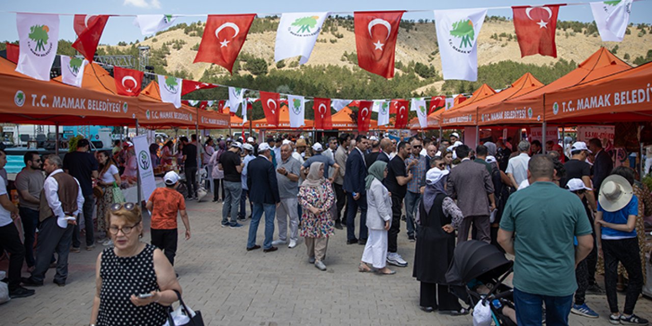 Ankara'nın Ekolojik Köyü'nde doğal ürün festivali başladı: Mutlaka gitmelisiniz!