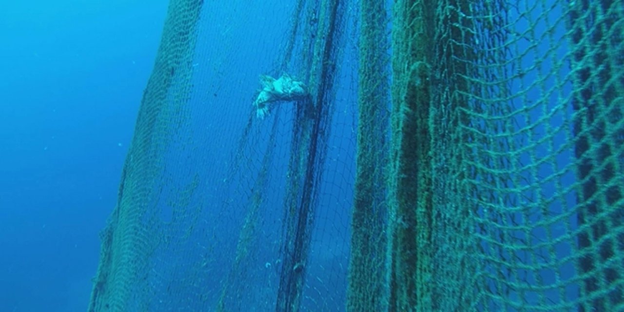 Denizin dibinden binlerce metrekare hayalet ağ çıkarıldı