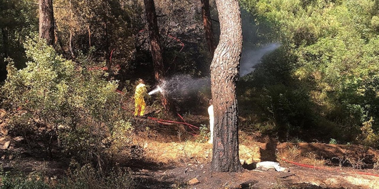 Bursa'da orman yangınları zamanında müdahale ile söndürüldü