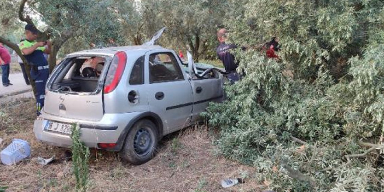 Araç zeytinliğe girdi: 1 ölü 1 yaralı