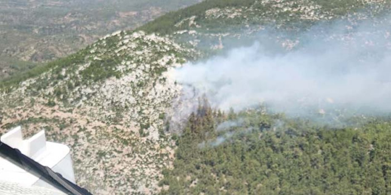 Milas orman yangınına teslim