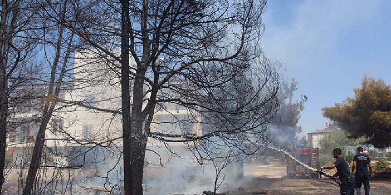 Elektrik direğinden başladı: Büyümeden söndürüldü