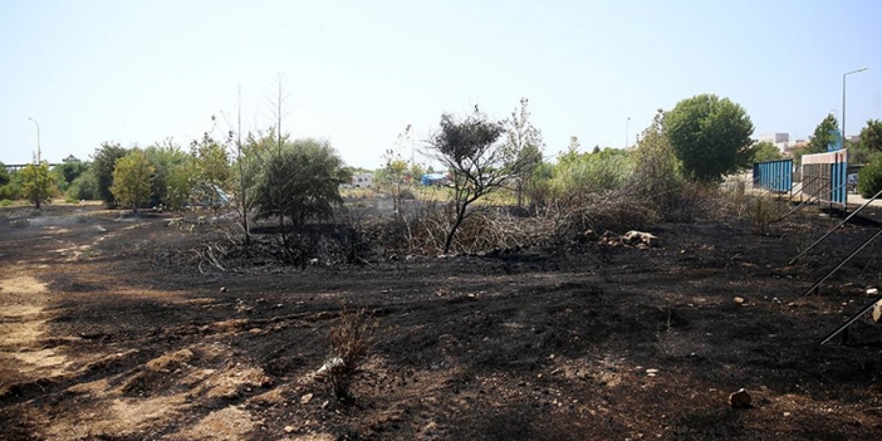 Fethiye'de sazlıkta çıkan yangın söndürüldü