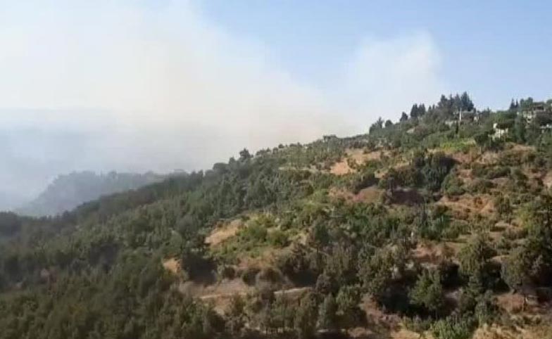 Kahramanmaraş'ta orman yangını! Havadan ve karadan müdahale ediliyor