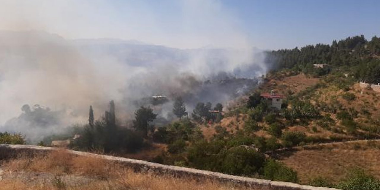 Kahramanmaraş'ta korkutan orman yangını