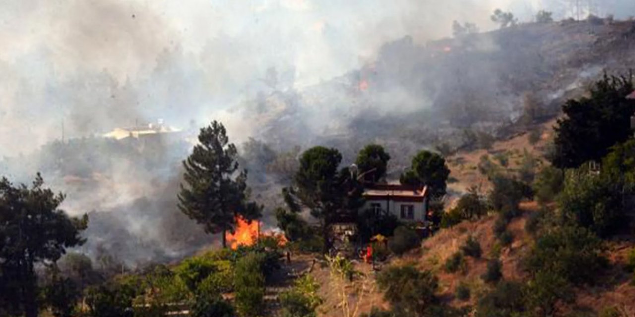 Kahramanmaraş'ta 21 hektar alan kül oldu