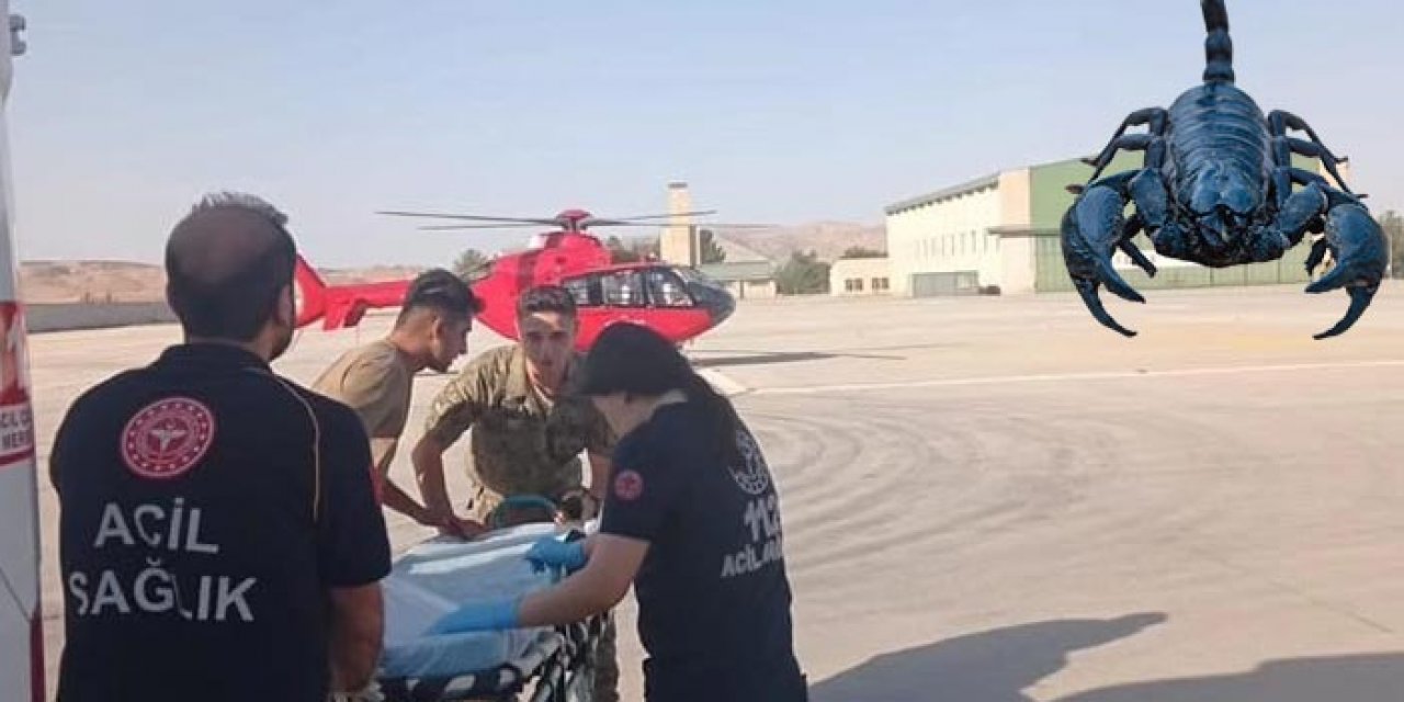 Siirt’te akrep alarmı: Hastaneye kaldırıldı