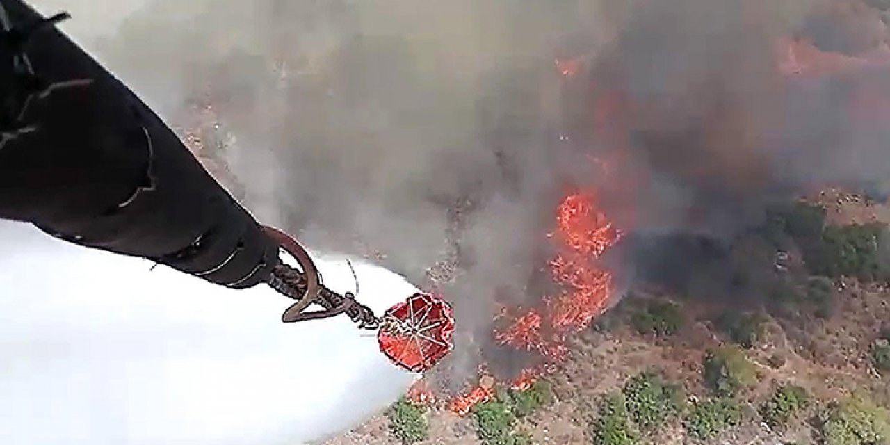 Orman yangınları bitmiyor: Şimdi de Manisa