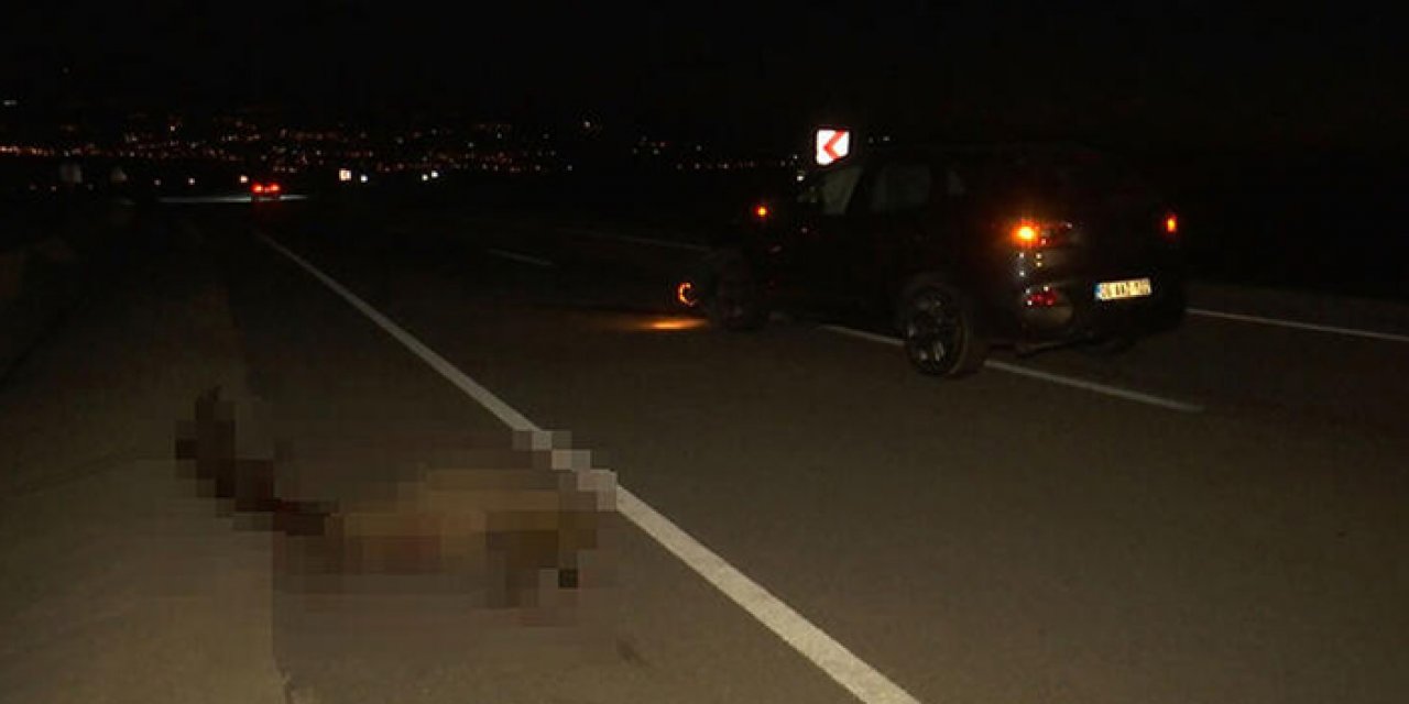 Otomobiliyle sürünün arasına daldı: 15 koyun telef oldu