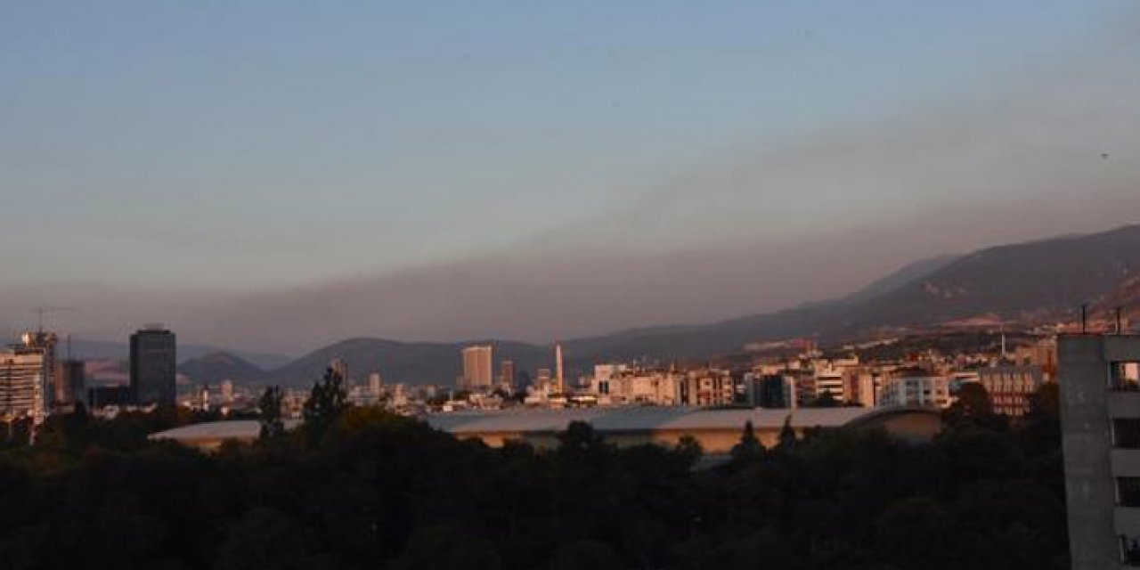 Manisa'da korkutan orman yangını: 14 ev etkilendi