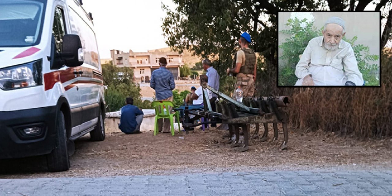 Diyarbakır'da sokak köpeği vahşeti: Abdest alırken saldırdılar