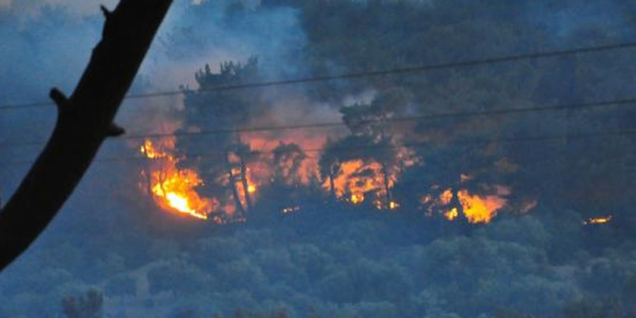 2’nci gününde Manisa’da orman yangını sürüyor